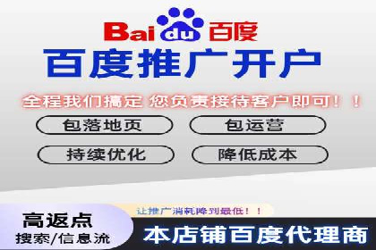 专业SEM托管：企业广告投放的明智之选